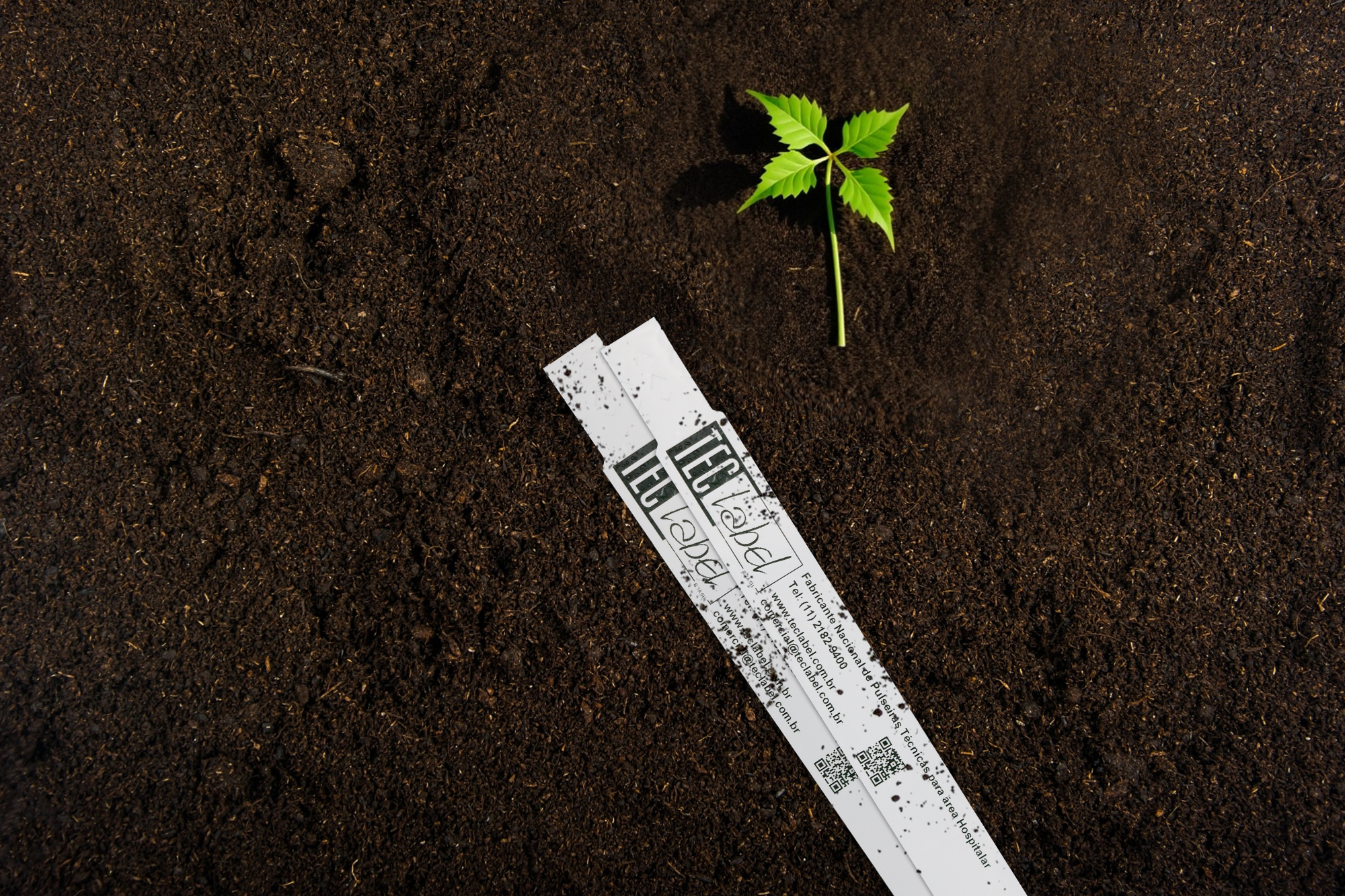 pulseira biodegradável na terrra